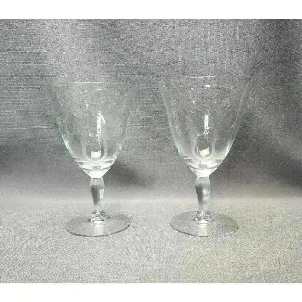 Vintage Susquehanna Fantasy Pattern Water Goblets Floral Wine Glasses (Set of 2)